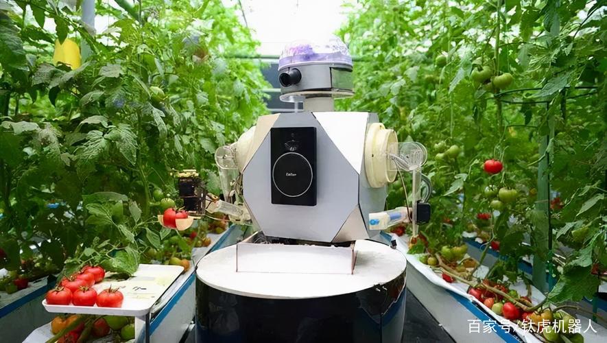 智能工厂中的工业机器人与应用软件服务全景盘点